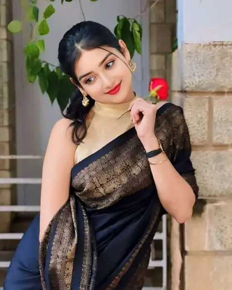 VIP Call Girl Udaipur